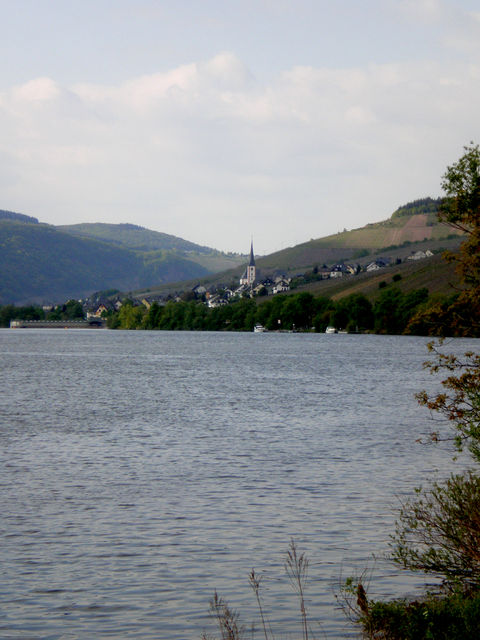 Blick auf Enkirch an der Mosel.