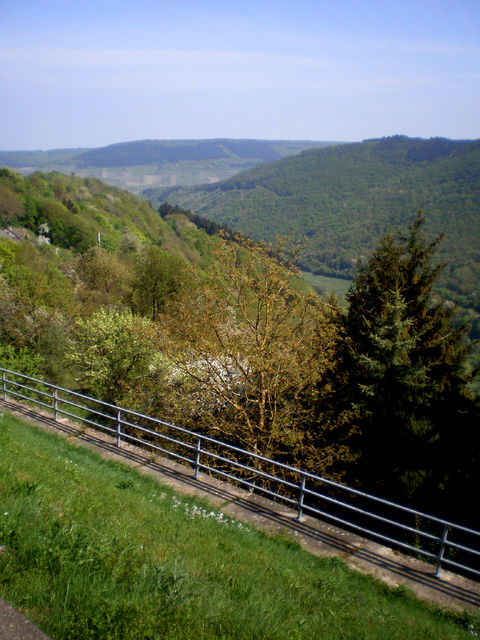 Blick ins Ahringsbachtal am Ortsausgang von Starkenburg.