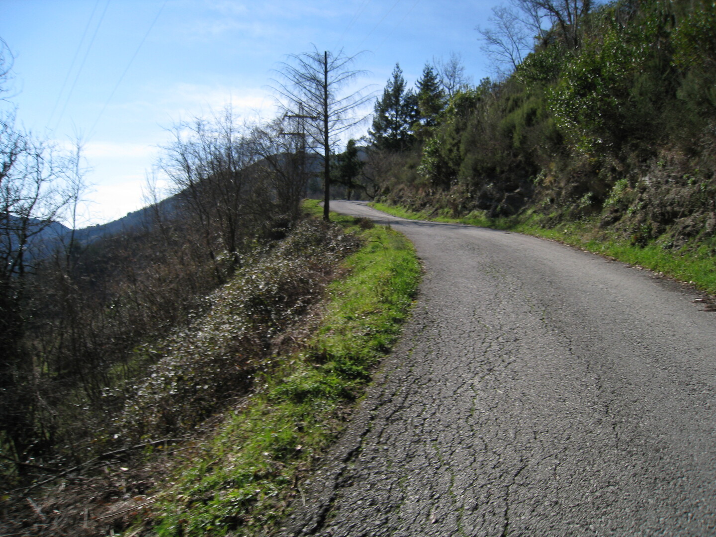 Über Belpiano gelangt man auf diese kleinen Strasse zum Pass.
(Februar 2009)