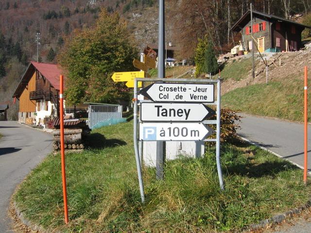 Abzweig Taney