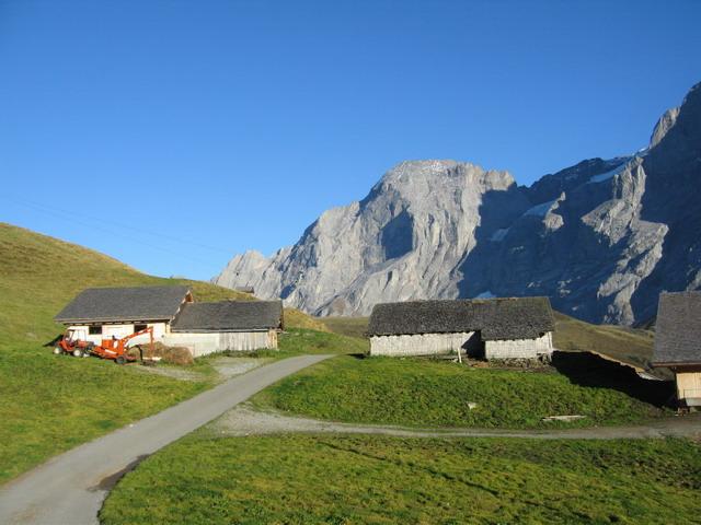 Alp Grindel in der Spätnachmittagssonne