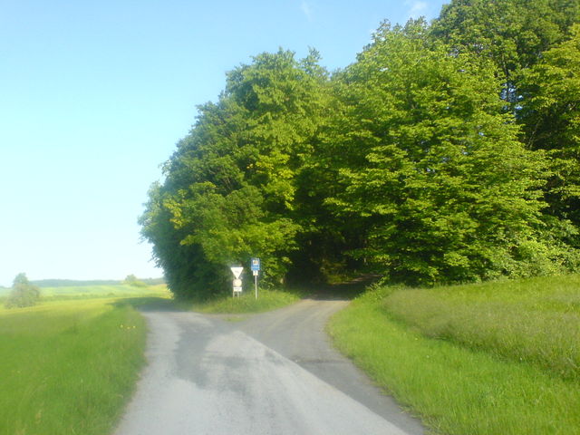 Rechts auf Splitstraße in den Wald