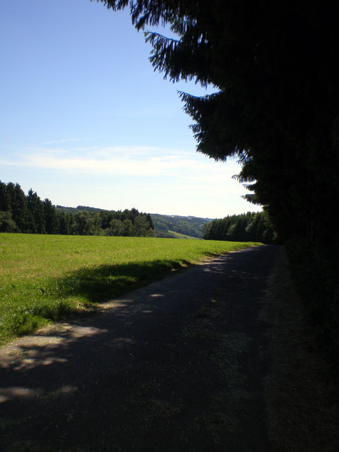 Weg von Klasmühle aus dem Scherfbachtal.