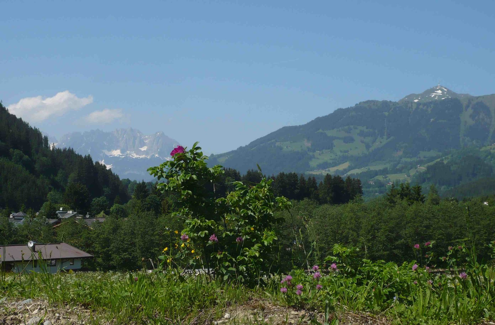 Bei Anfahrt über den Leukertalradweg eröffnet sich bei Bichl dieser Blick auf Wilder Kaiser und Kitzbüheler Horn.