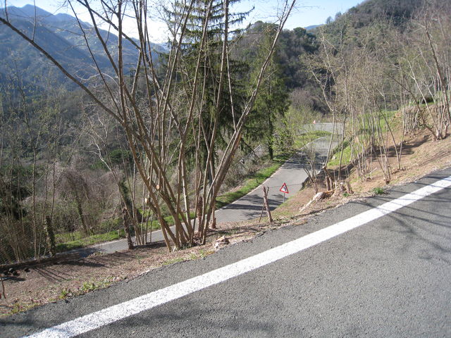 Die serpentinenreiche, schmale Strasse zum [[Passo di Romaggi|paesse|passo-di-romaggi]].
(März 2009)