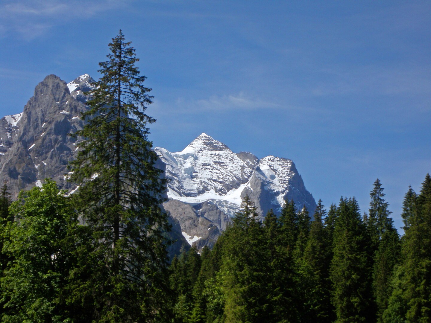 Das ästhetische Wetterhorn bei der Grossen Scheidegg.