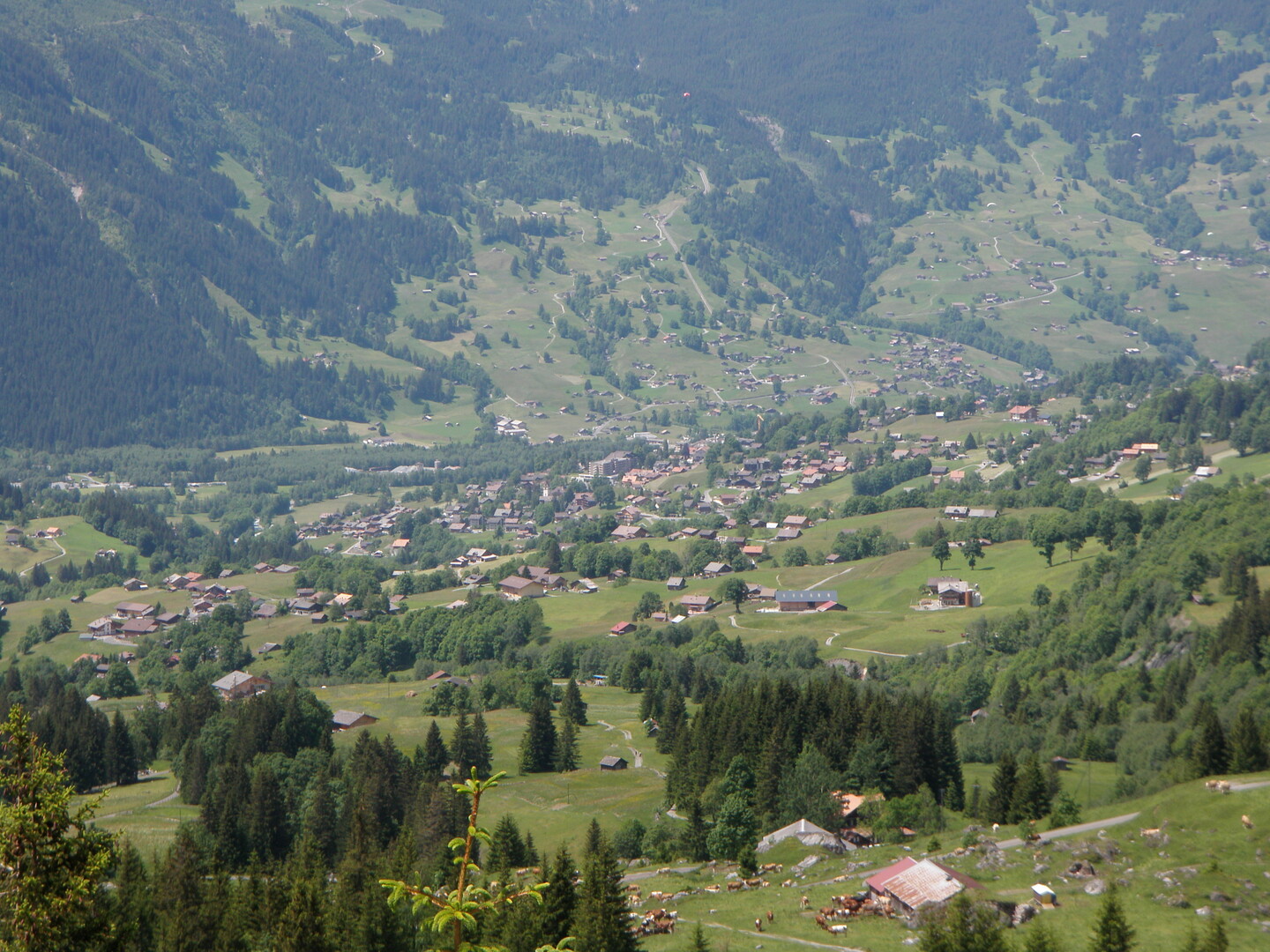 Grindelwald.