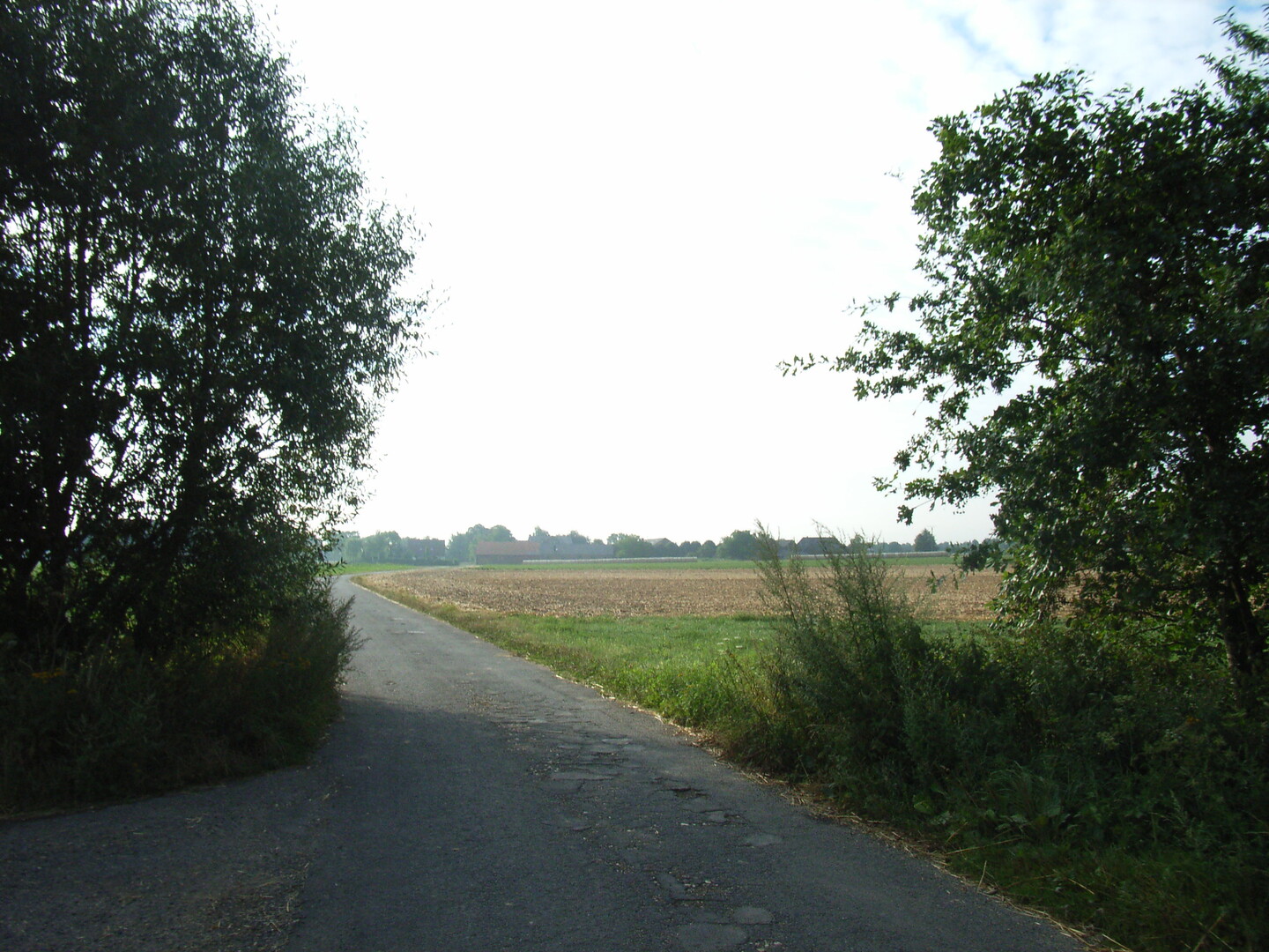 Durch die Felder gehts nach Fritzdorf, und dann über Lüftelberg zurück zum Bahnhof Kottenforst.