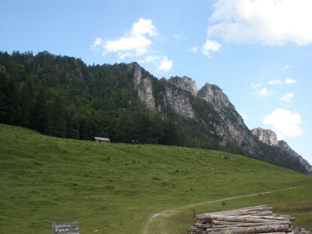Felsen des Reichraminger Hintergebirges.