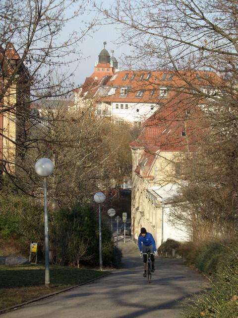 Grünanlage kurz nach dem Start an der Filderstraße.