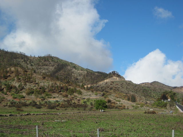 Suedanfahrt von Santiago del Teide.