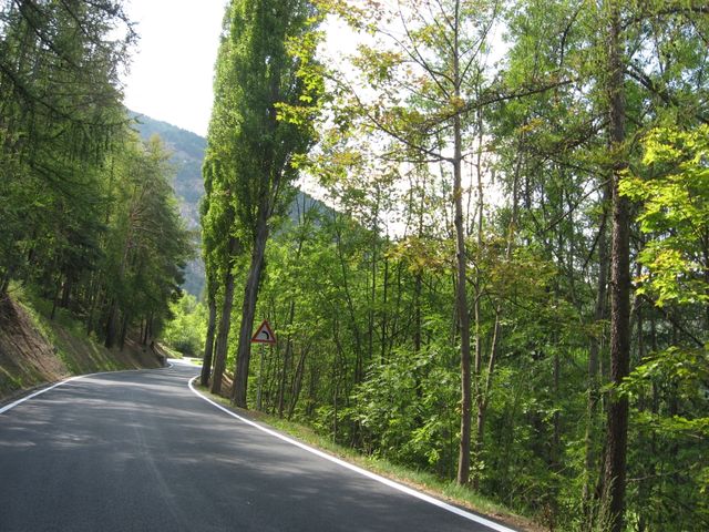 Die Straße schlängelt sich durch den Wald.