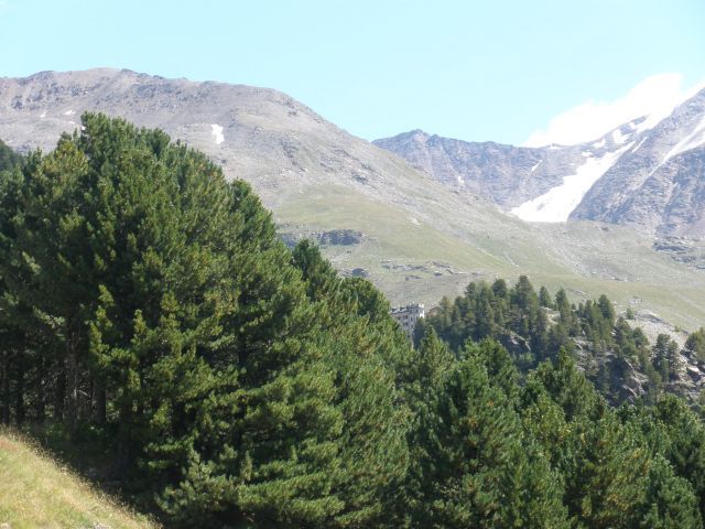 Das Rifugio Ghiacciaio dei Forni lugt aus dem Wald heraus.