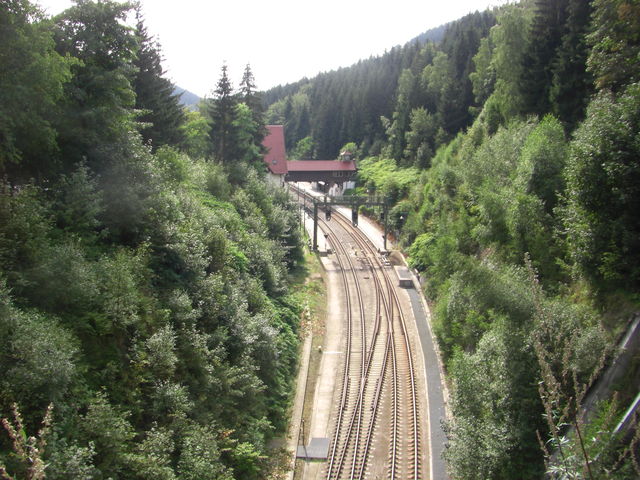 Blick vom Tunnelportal auf die Gleisanlagen.