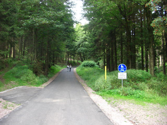 Toller Radweg mitten im Wald.