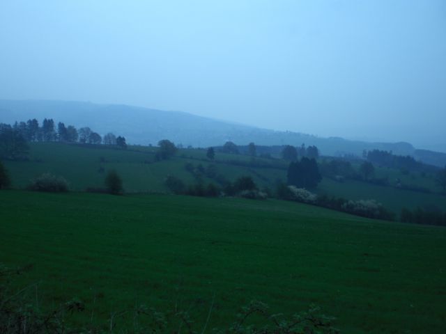 Aussicht von der Côte de Xhierfomont über die grünen Ardennenhügel.