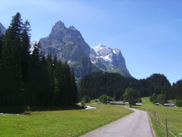 Reichenbachtal mit Wetterhorn (rechts) und Kleinem Wellhorn (links) im Hintergrund.