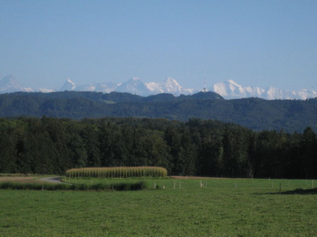 Der Sendeturm des Bantigers vor der Alpenkette, von Bangerten aus gesehen.
