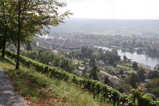 Burg Hohenklingen - Blick auf Stein am Rhein.