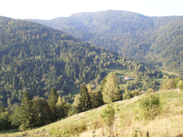 Blick ins Tal von Les Charbonniers.
