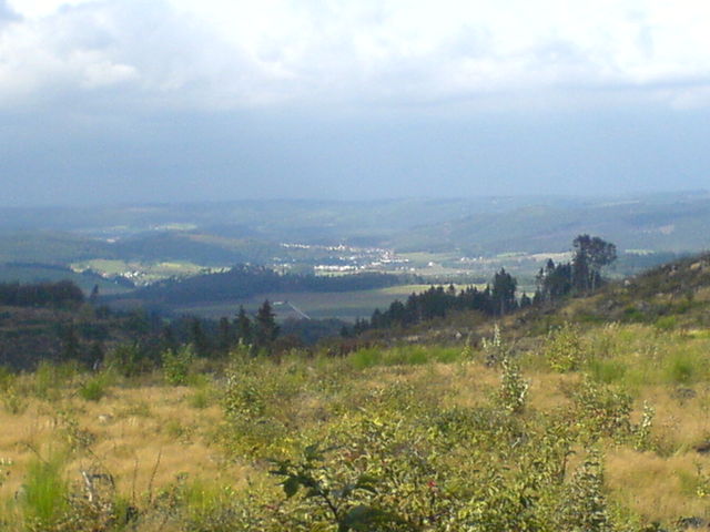 Blick Richtung Arnsberger Wald vom Bergkamm.