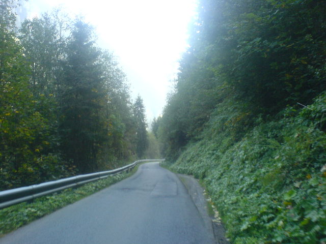 Nach dem Tunnelportal durch grünen Wald
