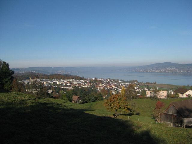 Blick auf den Zürichsee. Im Gegensatz zum Vortag hat sich der Nebel bereits um 10 Uhr weitgehend aufgelöst