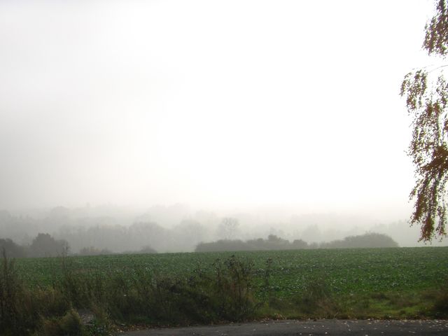 Auffahrt von Wimmelburg im Nebel.