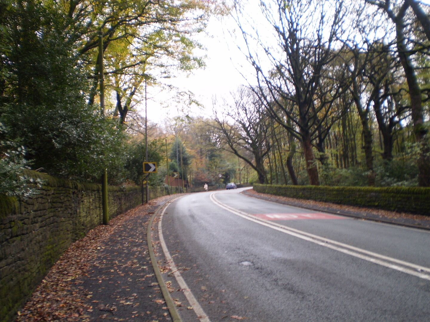Westanfahrt: Hinter Greenfield stehen Baumreihen links und rechts der Straße.