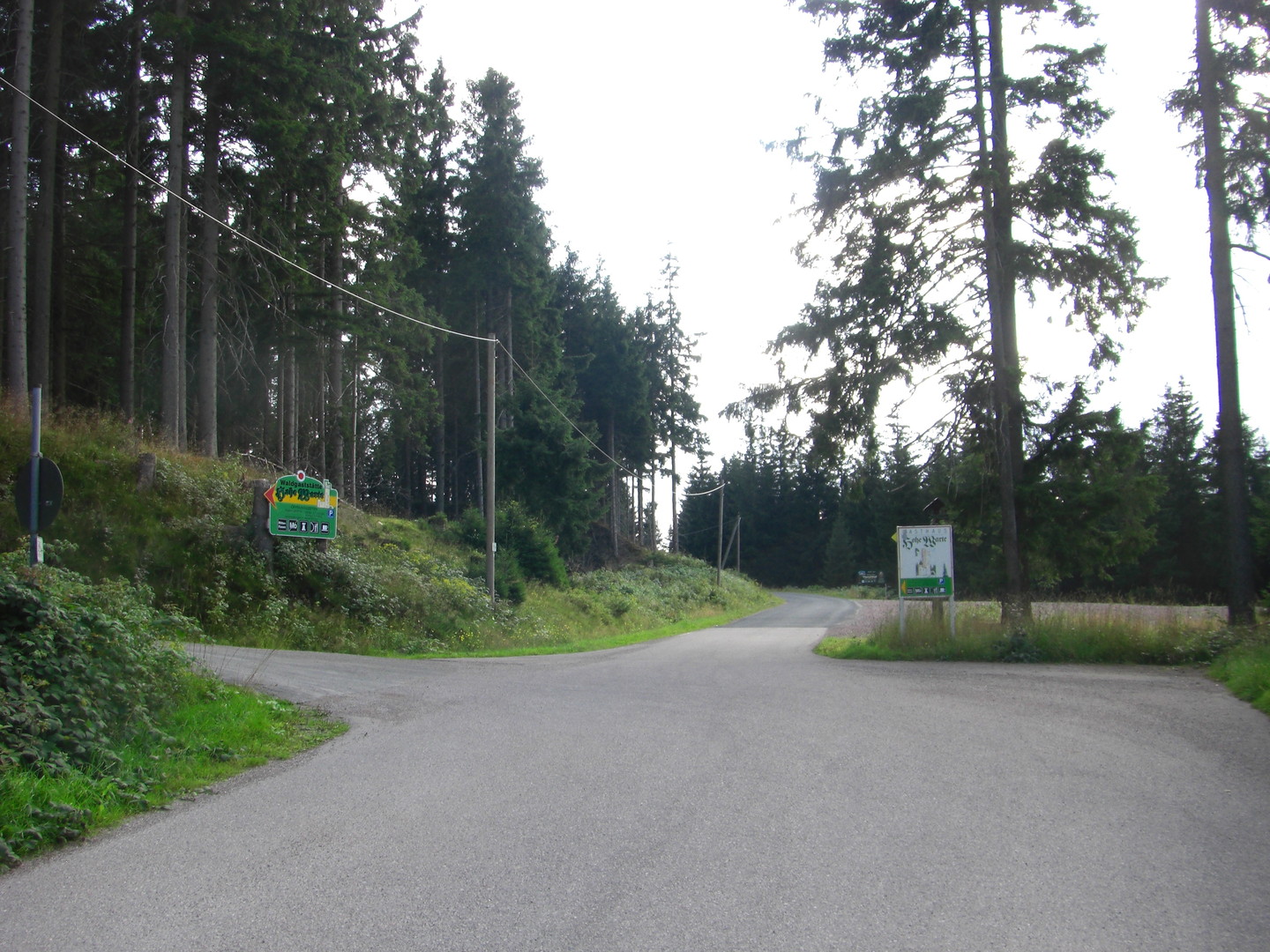 dann gelangt man diese Weggabelung, zur Hohen Warte geht es links weiter, geradeaus gelangt man zur Waldgaststätte Mönchhof.