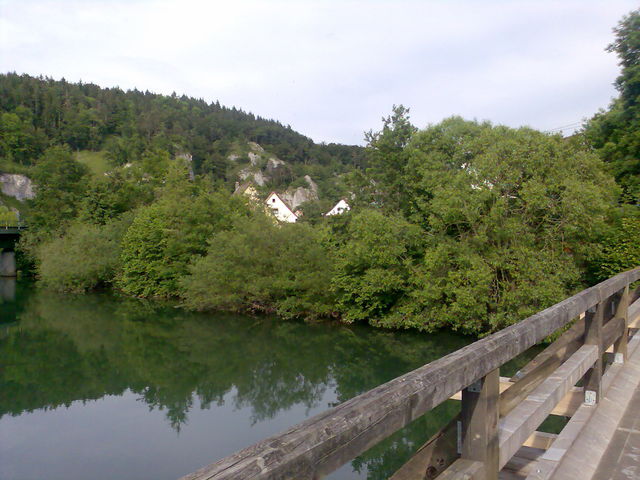 gestaute Donau bei Gutenstein.