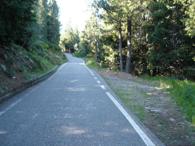 die klassische Westrampe am  Mortirolo: schmale, steile Straße im Wald mit vielen nummerierten Kehren in sehr guter Verfassung