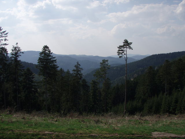 Zur Belohnung gibts ein grandioses Schwarzwald Panorama
