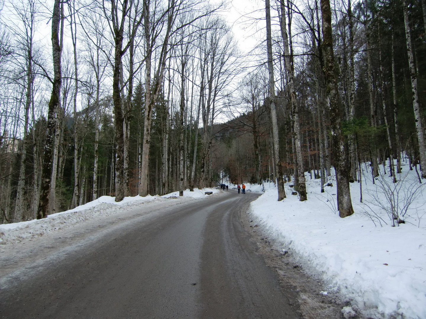 die Straße nach Neuschwanstein vor dem Abzweig nach Bleckenau