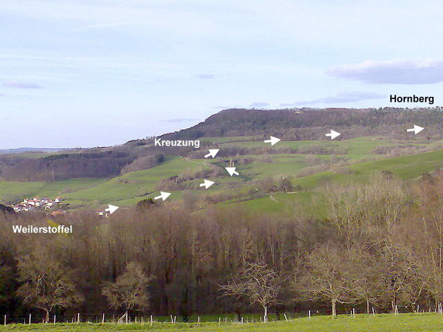 Blick von Tannweiler.