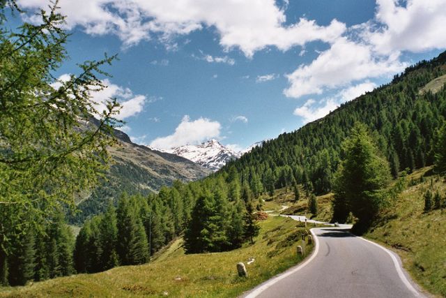 Schönste Alpenlandschaft, alles im Frühsommer sehr grün