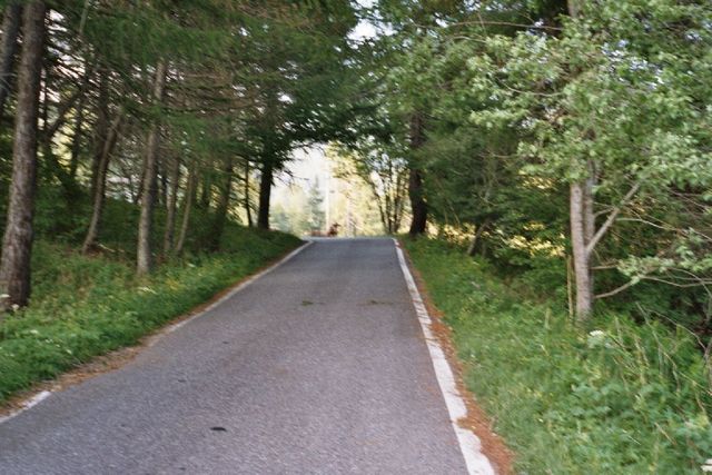 In der Auffahrt zum Passo Mortirolo