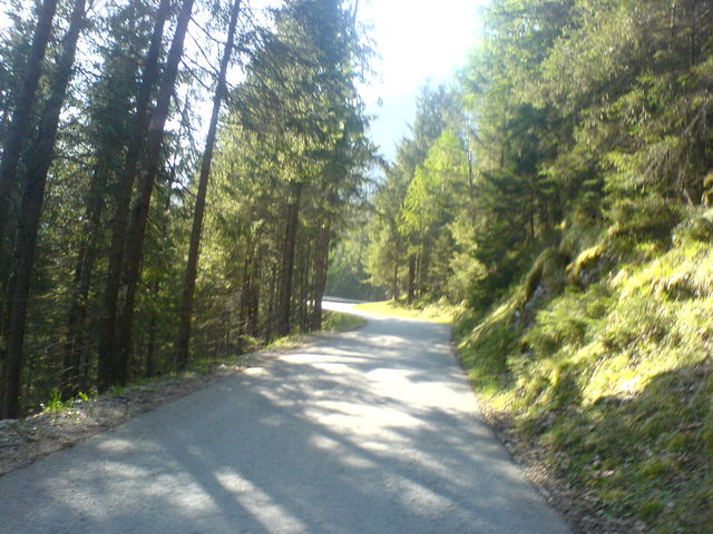 Nach den ersten Metern führt die Straße steil durch schönen Wald