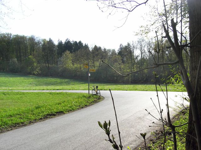 Lindental 08. Die Weggabelung Necklingsberg (nach links) und Kieselhof (nach rechts).