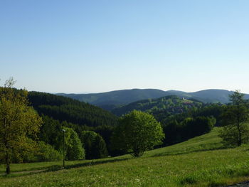 7-Oderberg-Blick auf den Glockenberg von St.Andreasberg.