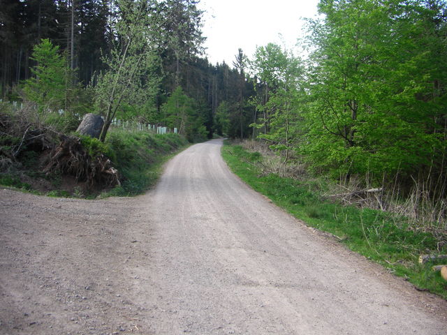 Am Jagdhaus Gabelbach vorbei führt dieser Weg auf den Kickelhahn.