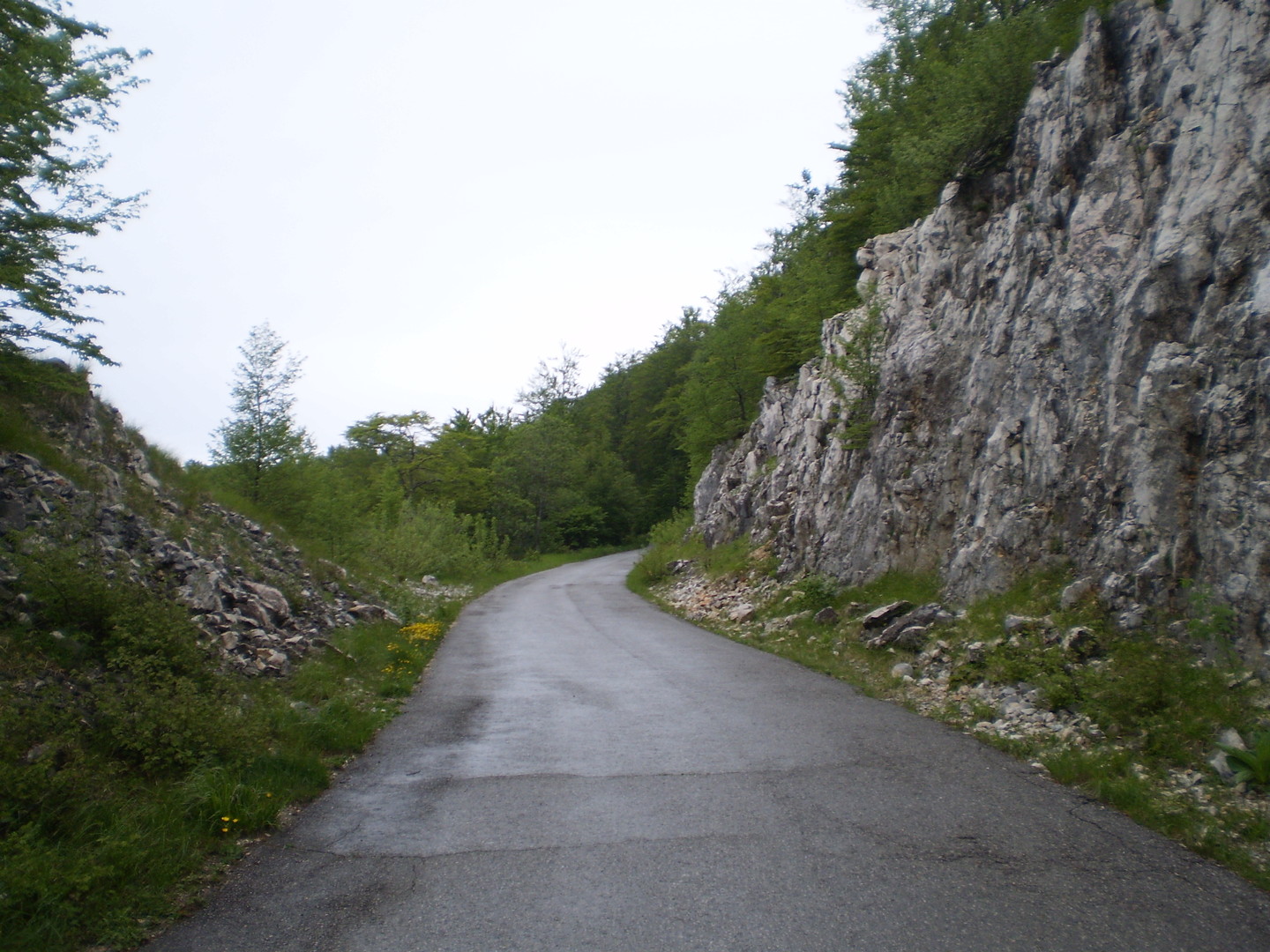 Meistens verläuft die Zufahrt zum Vojak durch den Wald an der Küstenseite des Berges entlang. Nur für ein paar Meter wechselt die Straße auf die Inlandsseite, wo man dann in einer Kurve auch kurz einen Blick auf die Julischen Alpen hat. Hinter der Kurve führt die Straße durch diesen Felsdurchbruch auf die Küstenseite zurück. 