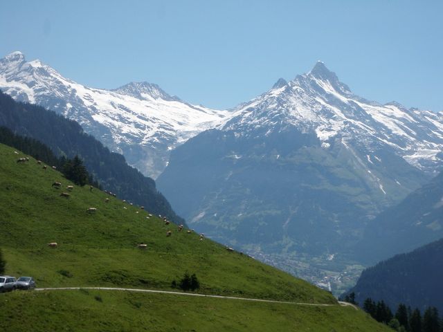 Grindelwald und Schreckhorn