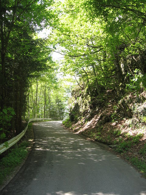 Am Talhang zieht sich die Straße durch den Wald