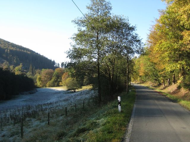 Harfeld, Südseite im Herbst