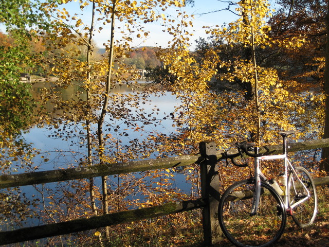 Möhnesee, Wameler Becken mit Kanzelbrücke und schmutzigem Focus