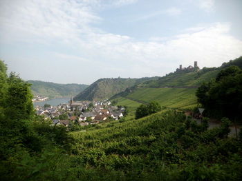 Hoch oben thront die Burg Thurant über Alken und dem vom Weinbergen gesäumten Moseltal