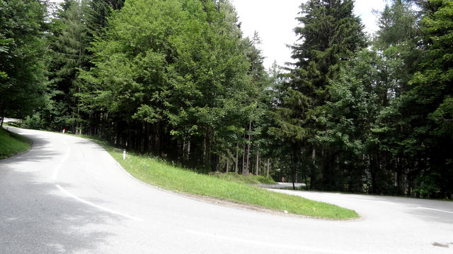 Auffahrt von Reichenau/Rax: Großteils verdeckt der Wald die Rundumsicht.