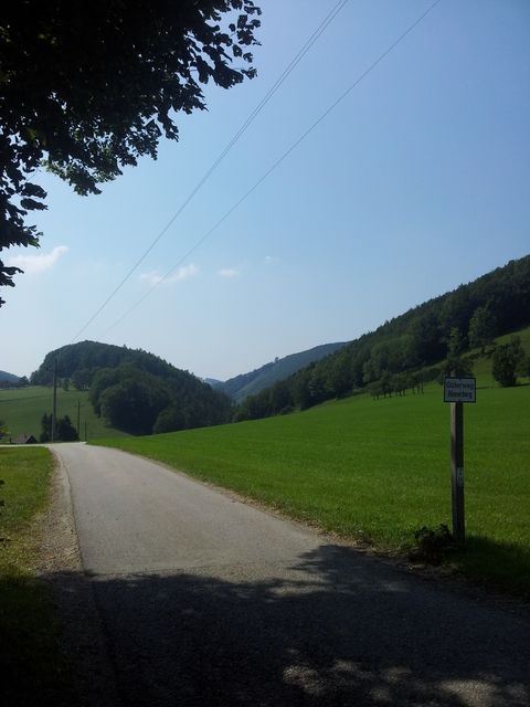 Kurz vor der Passhöhe Hambaum, Straße Richtung Burg Altpernstein, Oberschlierbach