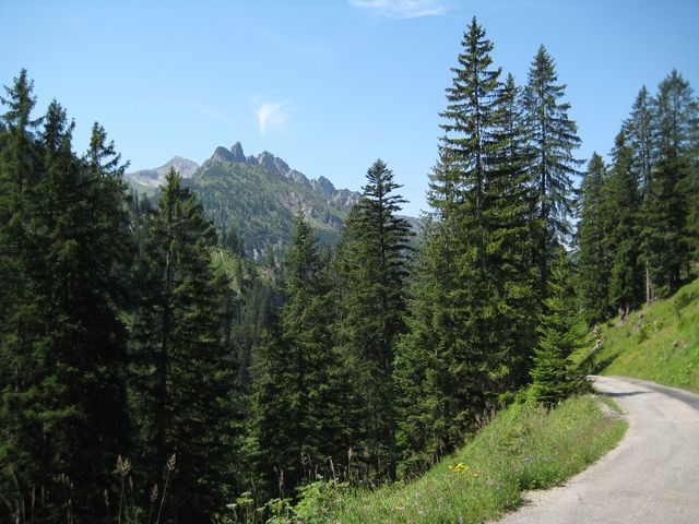 24.07.2012 Ordentliche, für den öffnetlichen Verkehr gesperrte Straße zur Laguz-Alpe